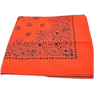 HAV-A-HANK 20-inch square cotton handkerchief burnt orange